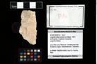 Foto (Objekt + Etikett) von Longodromites excisus (von Meyer, 1857)  (NHMW-GEO-2014-0194-0014)